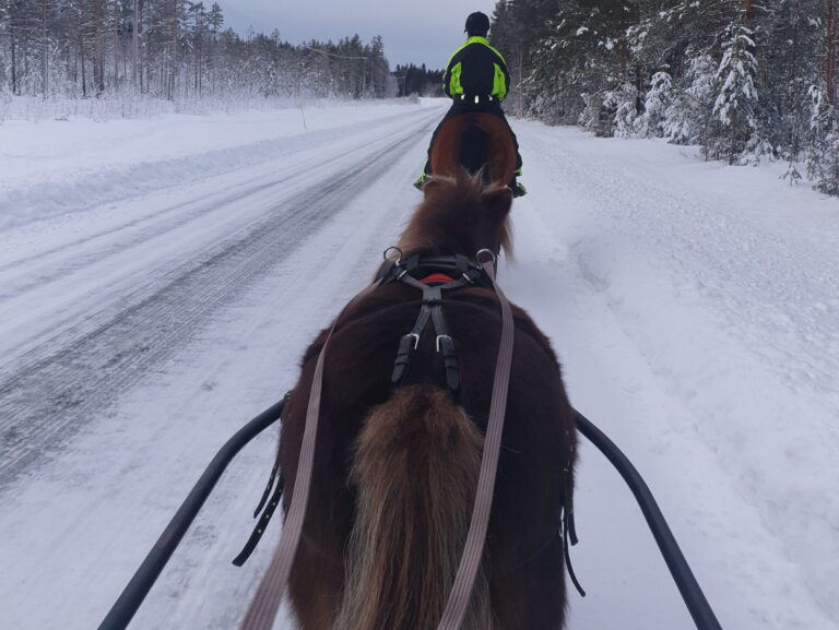 Ikaros och Thor ute på en ridtur.